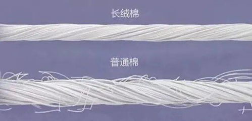 北歐風(fēng)床品新寵 毛腈混紗，如何用簡約美學(xué)打造高級睡眠空間？